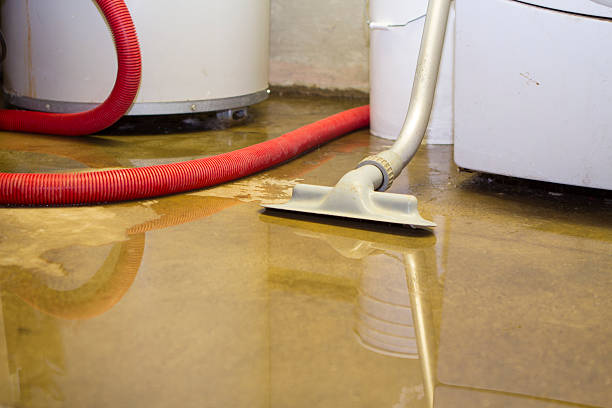 Best Sewage cleanup and water damage restoration  in Port Allen, LA