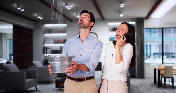 Best Water damage contractors near me  in Port Allen, LA